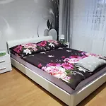 홈스테이 