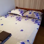 홈스테이 
