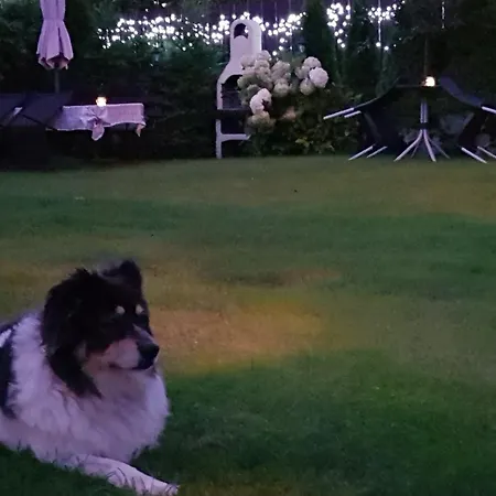 Δωμάτια σε οικογενειακή κατοικία 