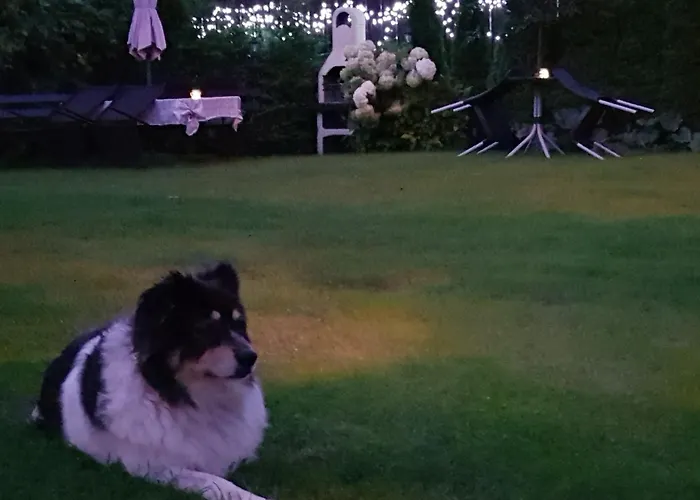 Δωμάτια σε οικογενειακή κατοικία 